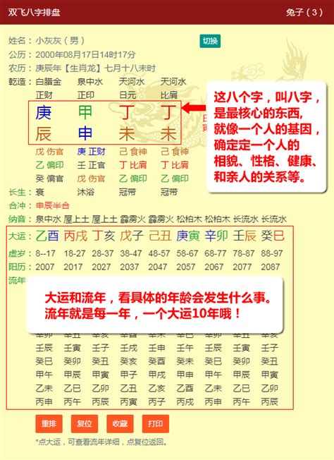 子平八字命盤|八字算命助手